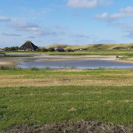 De Jutter, In Natuurgebied En Vlakbij Het Tatil Evi
